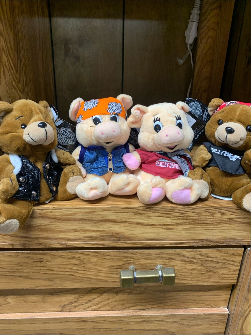 Harley-Davidson Pigs and Bears. Collectable 1997